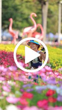 BIB:  <button type="button" onclick="openModal(27583641)" class="btn btn-primary btn-sm float-right" data-toggle="modal" data-target=".modal-high-quality">
                <i class="fa fa-download"></i> Download
                </button>